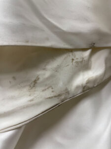 After the Aisle Gown Care