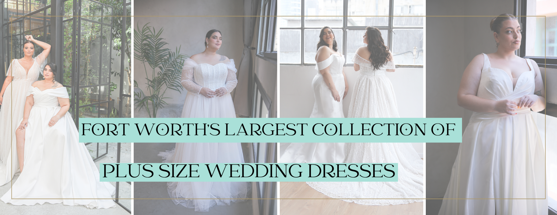 Plus Size Wedding Dresses Bridal Shop Fort Worth