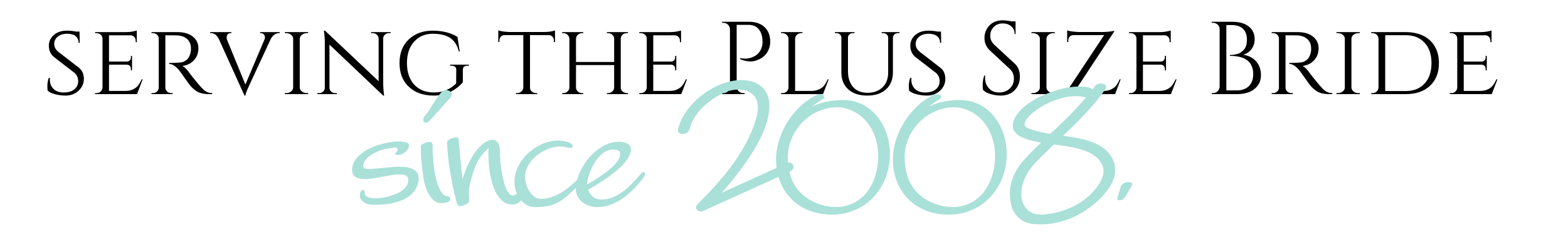 Plus Size Brides Fort Worth Wedding Dresses Wedding Dress Bridal Gown